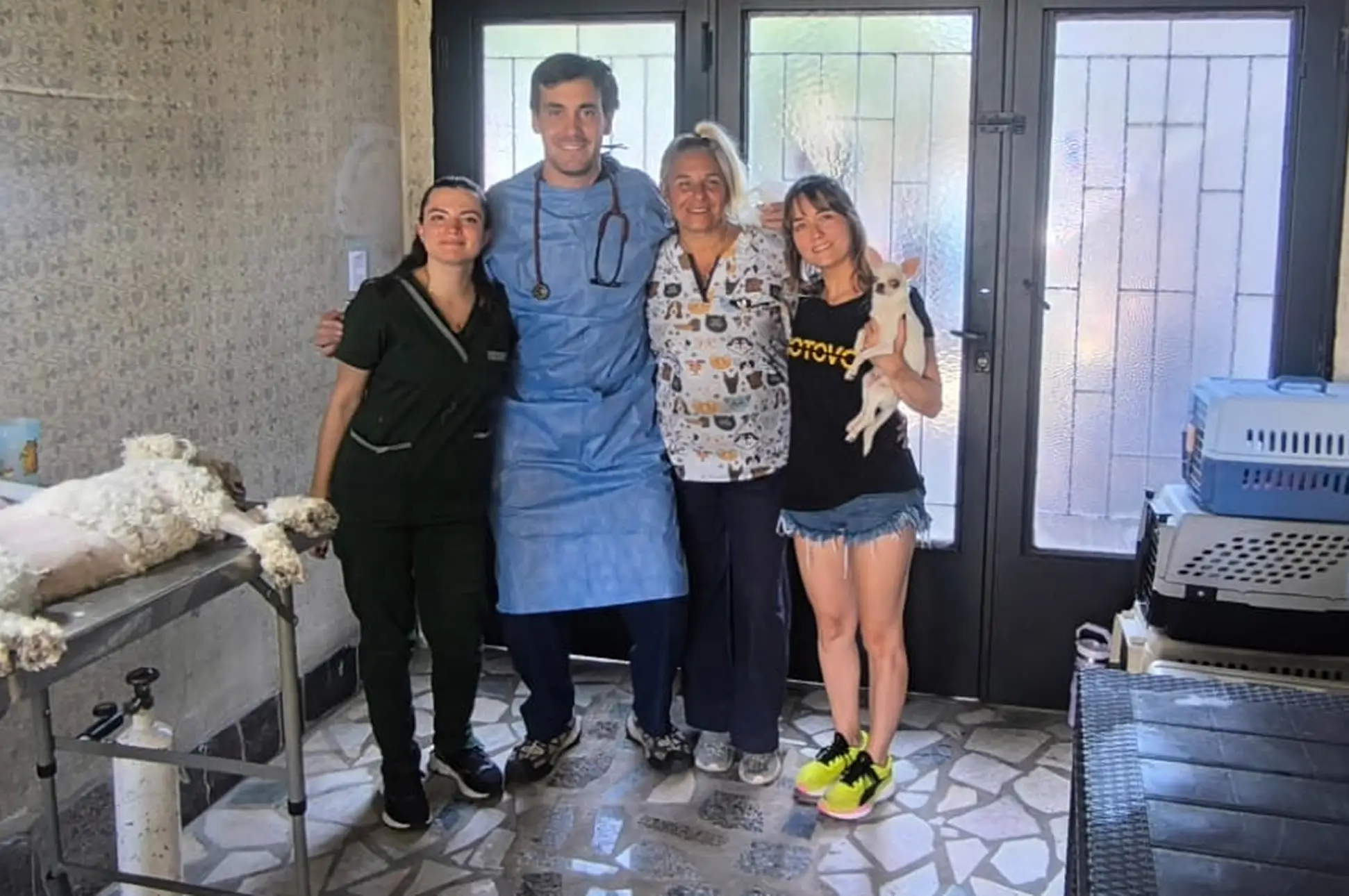 Spaying dogs in Argentina CSR activities
